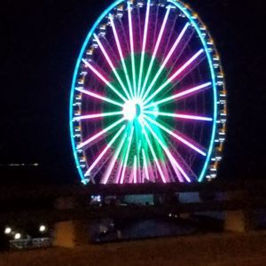 Meet your Posher, Bobby